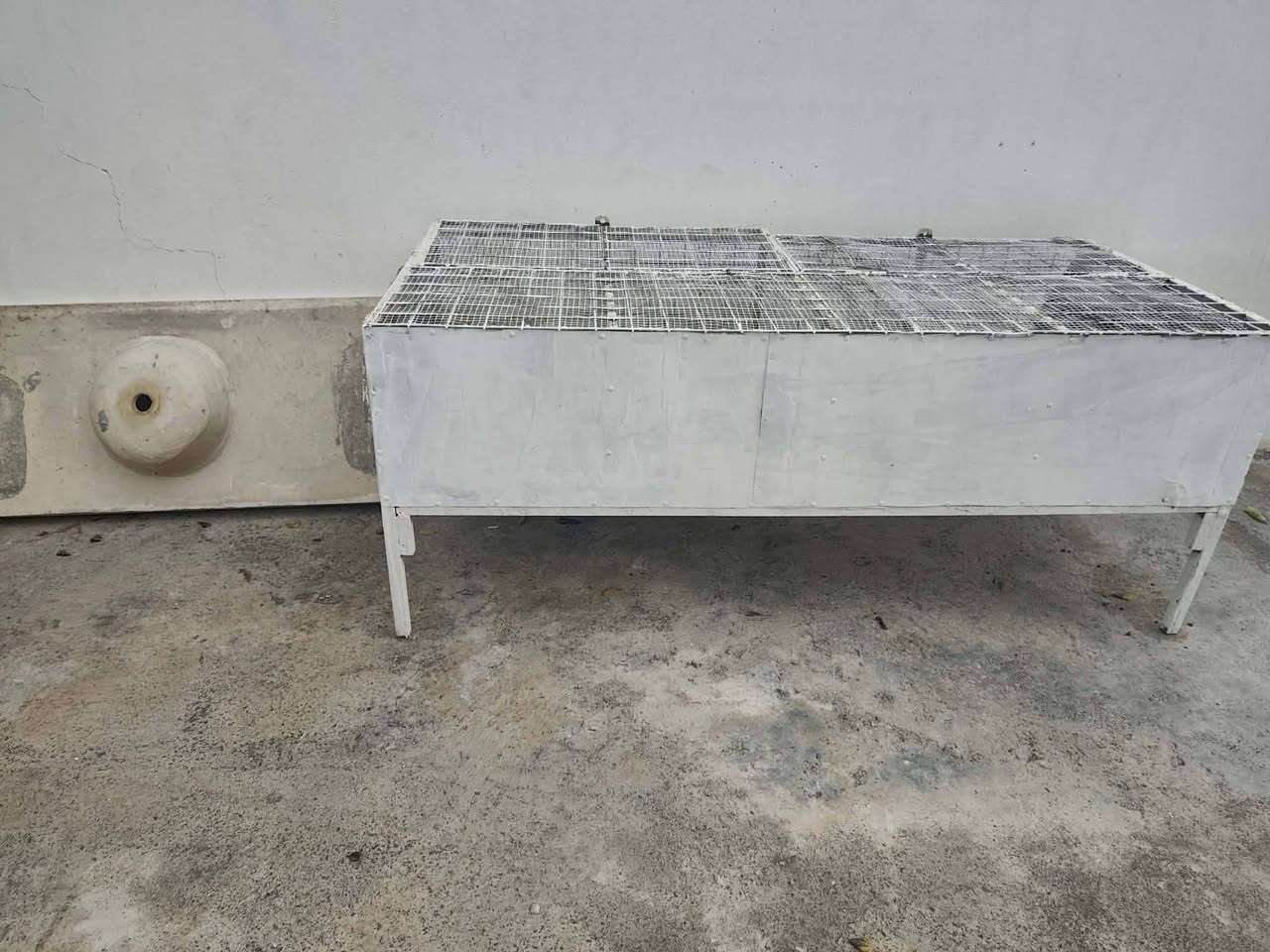 کامل ئا شیای مریشک بۆ فرۆشتن لە سلیمانی بۆ نرخ پە یوە ندی بکە ن***********
