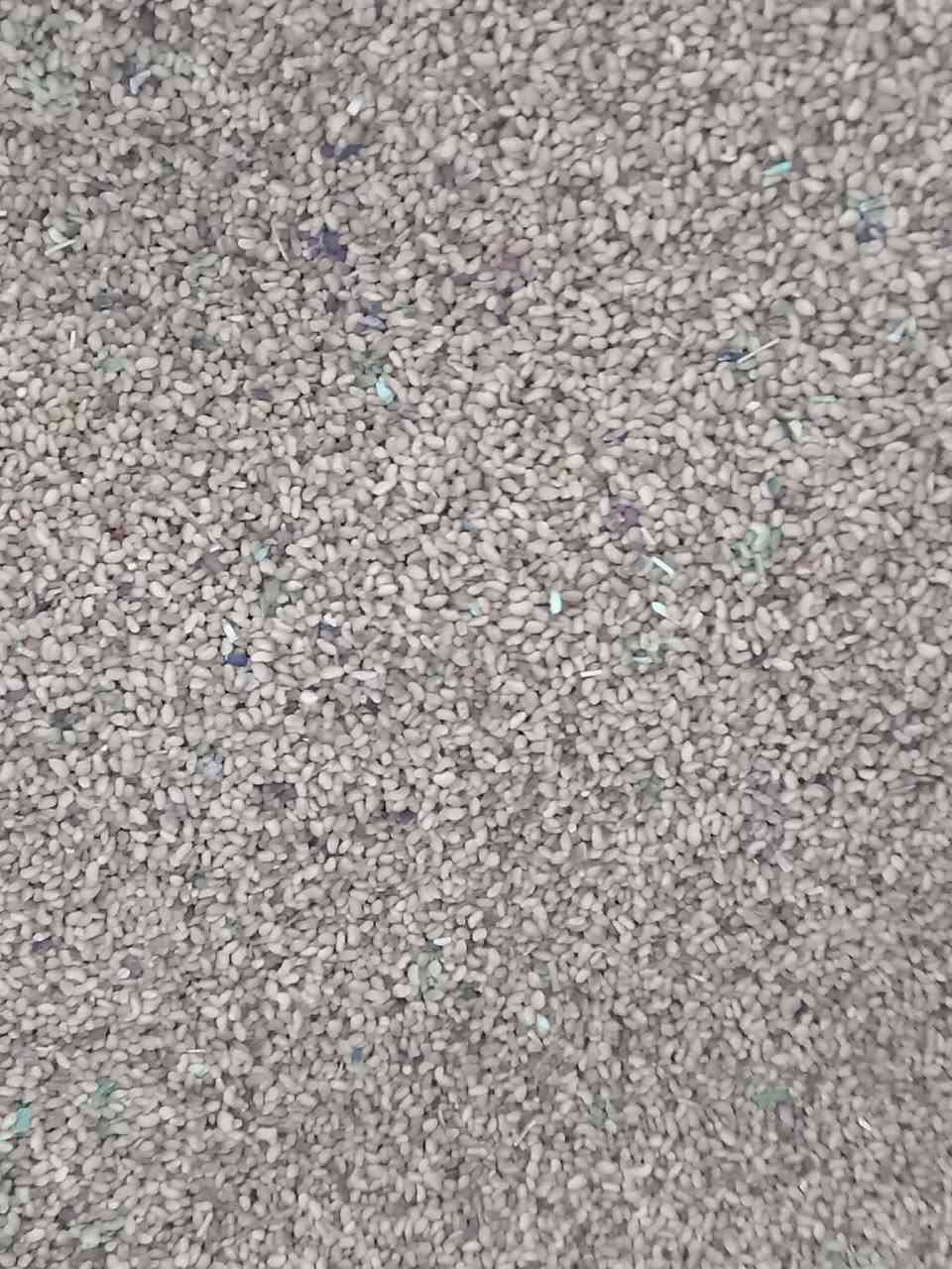 يوجد بزر جت البيع كفاله بس يطلع ابيع سعر الكيلو 8ونص مكاني قرية الرافده ***********
