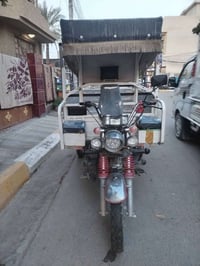 ستوته • ام الطير • أوراقه كامله