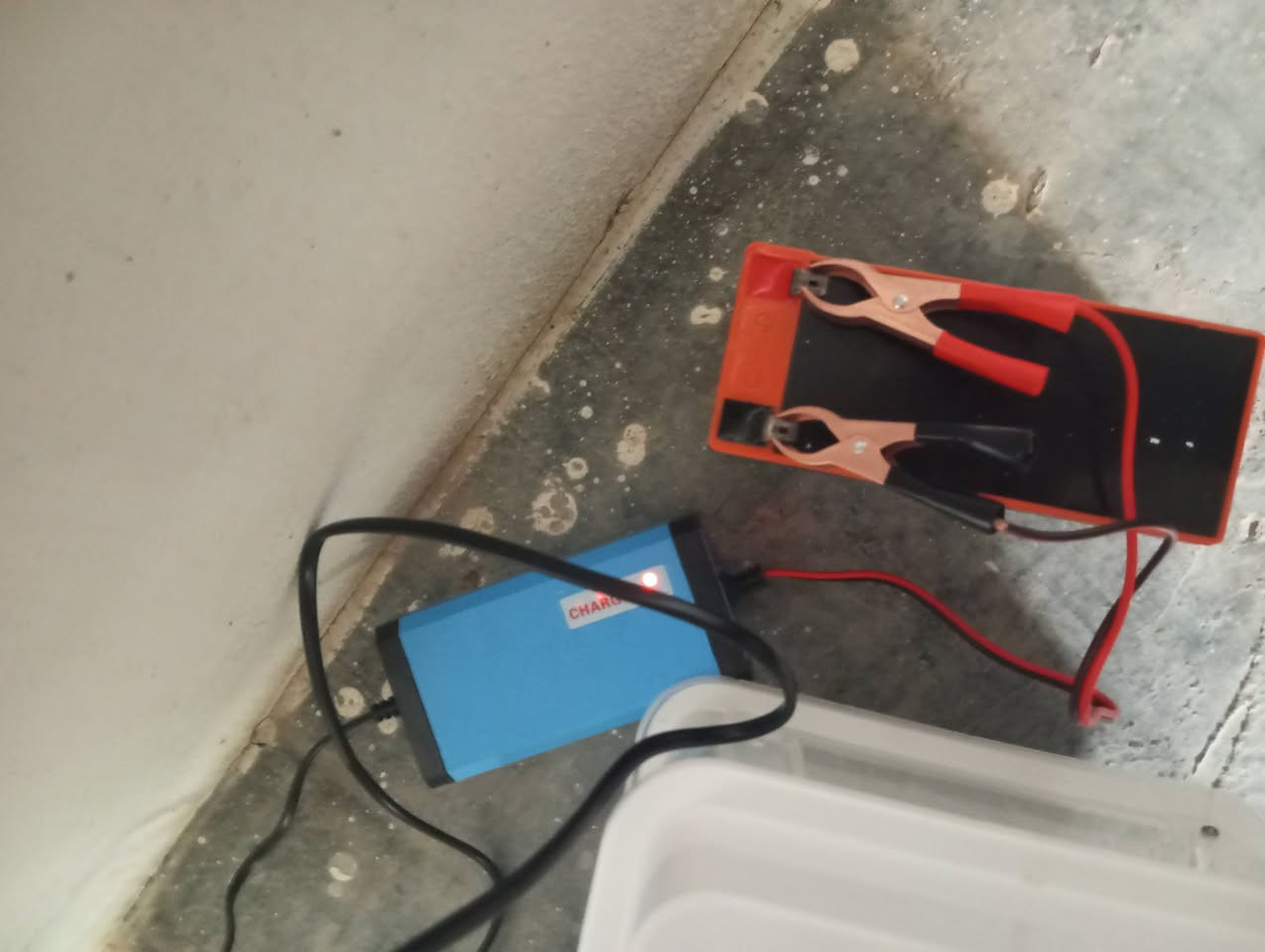 فقاسه 15بيضه للبيع تقليب حراره رطوبة  اوتوماتيك بيها عاكسه وباتري وبيها ضمان


**إذا كنت صاحب هذا الإعلان وتريد حذفه لأي سبب، رجاءا أرسل رسالة إلى الدعم الفني**