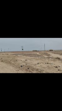 أرض زراعية • ٥٠٠٠م • سند ٢٥