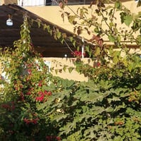 بيت طابقين مسلح يحتوي اربعه غرف نوم كبار واستقبال كبير مساحه ٢٠٠متر كا...