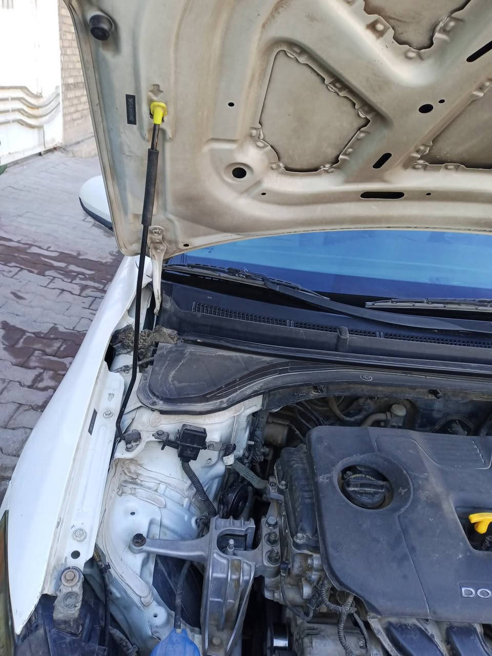 للبيع او مراوس النترا 2017 اربيل الماني بسم شركه تحويل او وكاله مضمونات حادثها باب السائق مبدل وشويه بالتكمه والدوسات وجاملغ رش بدون معجون والباب الخلفي جهه العبري صبغ مكينه 2000 دوش وبسعر 105 وبيها مجال للاتصال بالرقم *********** او عالخاص مكاني النجف الاشرف
