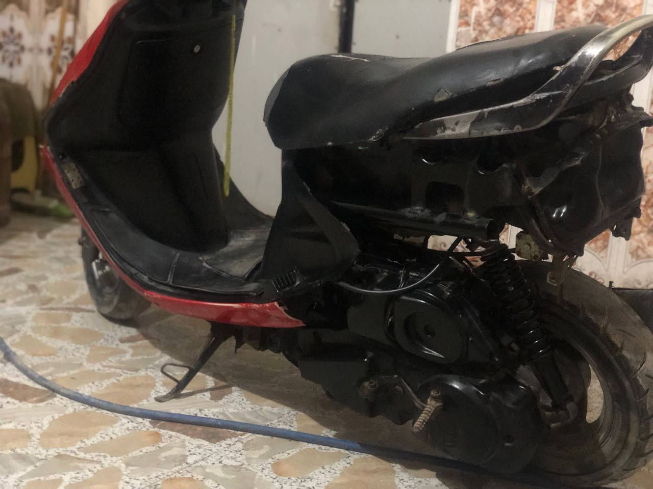 فراشه فحل للبيع عوزه فقط كفر
دبلات جدد خلفي امامي 
واتساب***********
