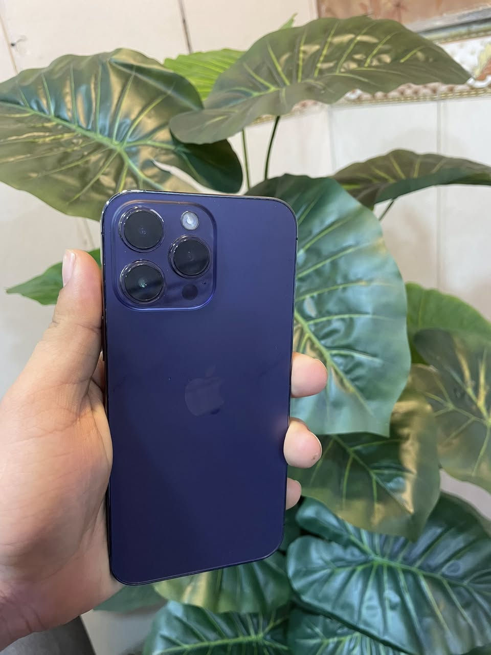 السلام عليكم أيفون 14 برو ماكس الجهاز جدا نضيف كله شغال مبدل شاشة بطاريه فيس إيدي شغال السعر 500 الف مكاني بغداد شارع فلسطين رقم ***********
