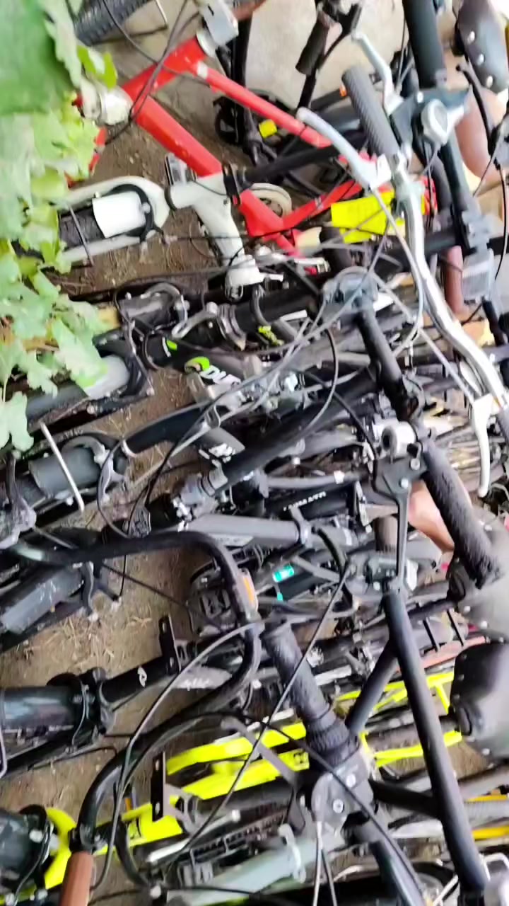 حله حي الشاوي *********** جمله مفرد
