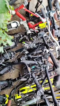 حله حي الشاوي • جملة • مفرد