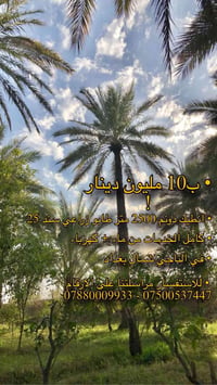 🌿 فرصة استثمارية مميزة في التاجي – شمال بغداد 🌿  دوانم طابو زراعي سند ...