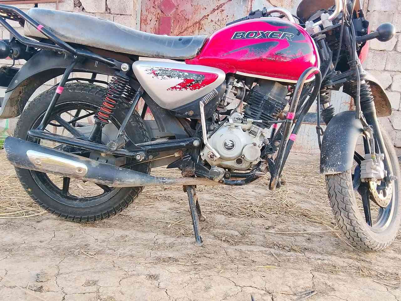 مكلف بلنشر لحد يراسل
بوكسر جبلي موديل 22 كفاله عامه شرط ترقيم سعر اتصل وبيك خير ودلل مكاني ديالى الخالص سنديه رقم صاحبه ***********. ابو عقيل العبادي
