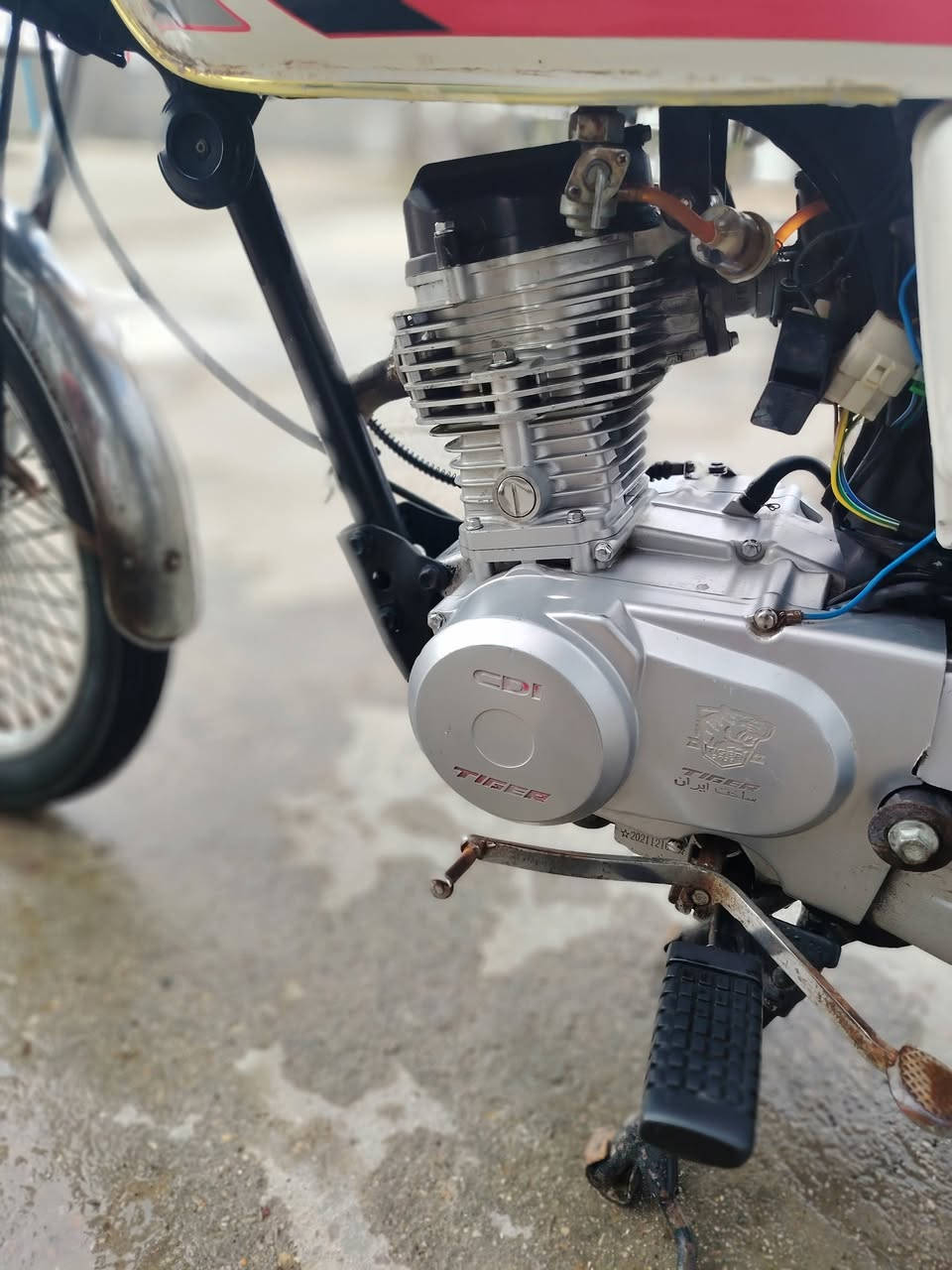 سلام عليكم تايكر البيع موديل 21 مكفوله من كلشي اوراق اصولي مكان القاسم السعر 450 وبيه مجال اتصل ***********
