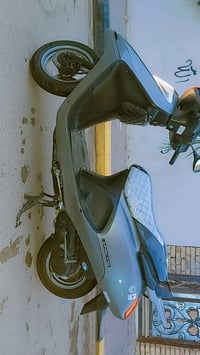 سبيسي ياباني • كفالة عامة • كوت الزهراء