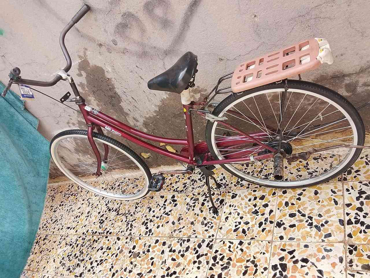 سلام عليكم بايسكل البيع نضيف حجم 26 غراضه مداكر وره وكدام ودرع وشبج كامل سعره 85 وبي مجال قليل جدا مكاني ميسان لمو شراي لا يجيني


**إذا كنت صاحب هذا الإعلان وتريد حذفه لأي سبب، رجاءا أرسل رسالة إلى الدعم الفني**