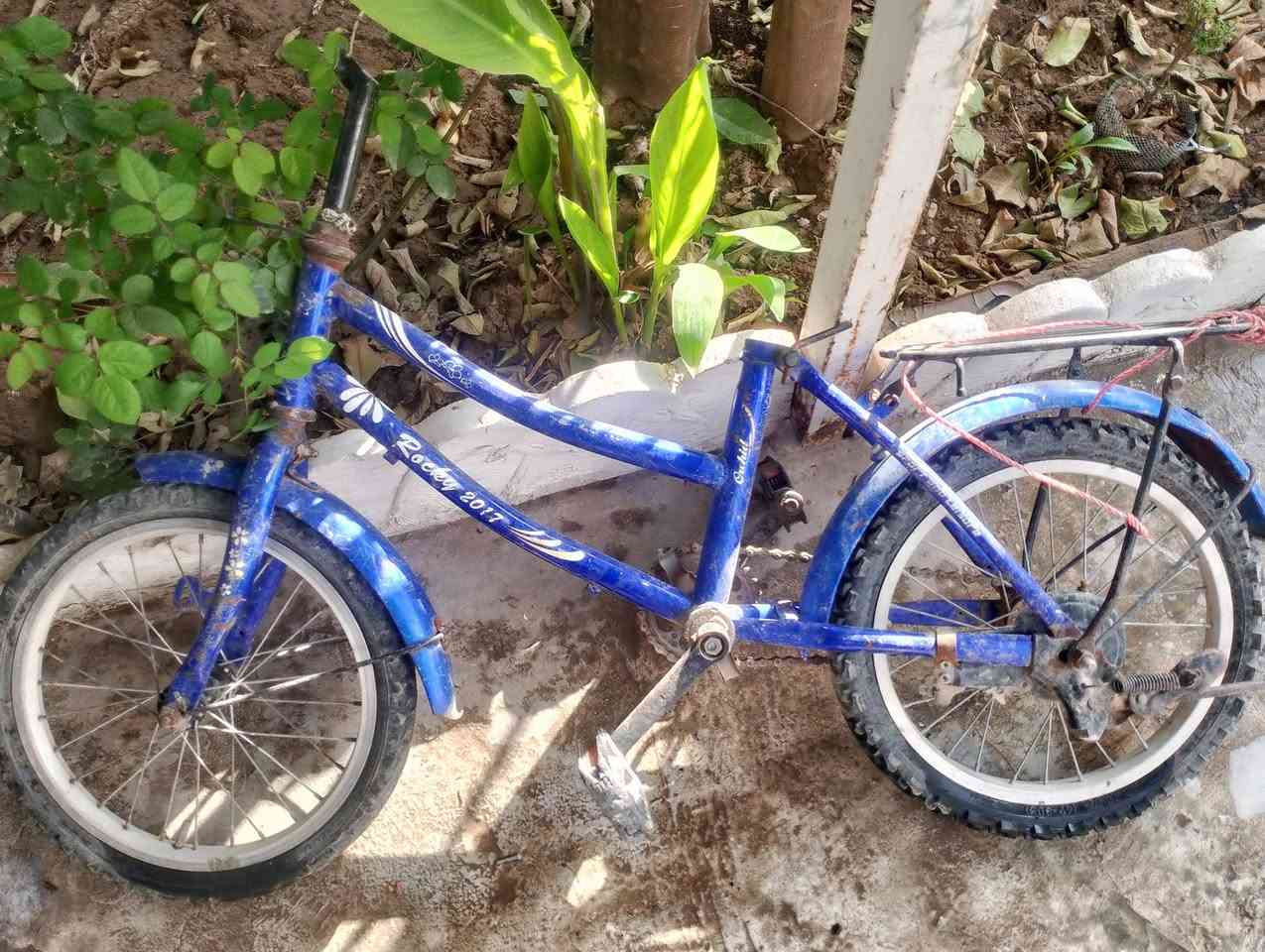 😱هەراج ئەم دوو پاسکیلە بۆ فرۆشتن  نرخی هەردووکی بە 25هەزار قفڵێتی  کێ مشتەریە تەلفوون بکات بۆ ئەم ژمارە *********** شوێن کەلار
