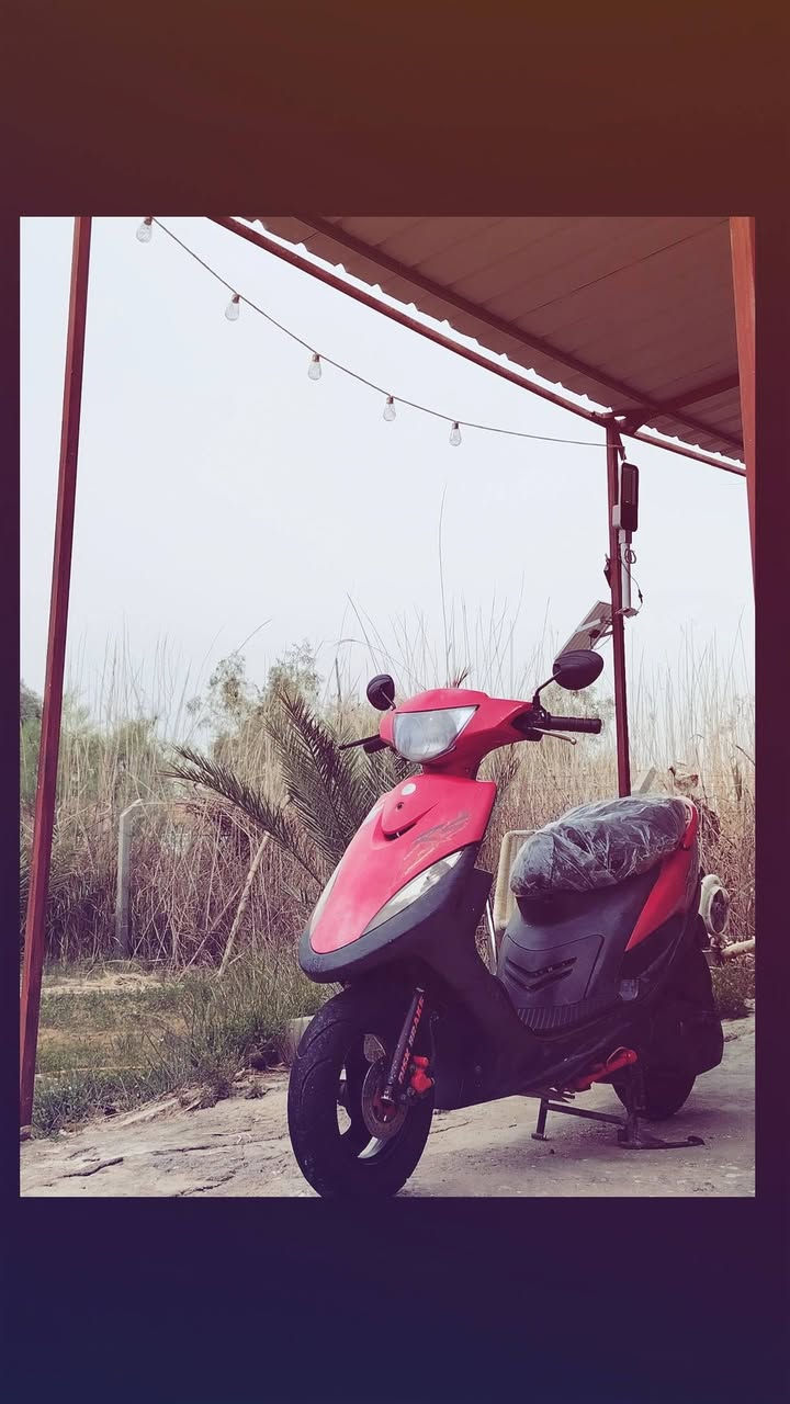 للمراوس فقط ببوليس
ماكس عدله كفاله عامه 
مكينه فول ملاح زيرو 
تزويد يابان 
دبل خلفي رياصي 
عداد لولوء اصلي مختم 
قبق فلاوين
خليه شفافه
يدات كوسو
وهواي بيه تزويدات معدل يخبل بس شلعه يرادله تبديل بنز كلج خلفي 
سلف هندر كله شغال نص نكره شرط 
دراجه متعوب عليه 
للمراوس فقط 💯


**إذا كنت صاحب هذا الإعلان وتريد حذفه لأي سبب، رجاءا أرسل رسالة إلى الدعم الفني**