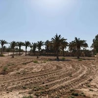 الاستفسار أكثر الاتصال على الرقم 07764333079