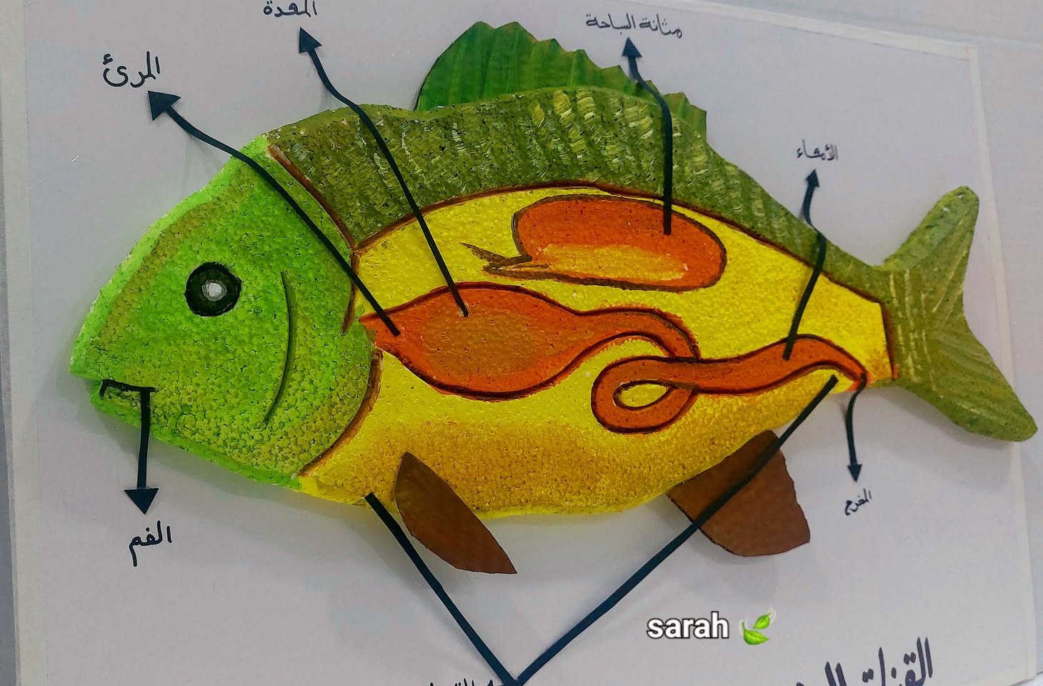 تم بأذن الله تعالى فتح الحجز للاعمال والمجسمات كافه ♥️
#وسائل_تعليمية_تفاعلية #مجسمات #واسط_كوت #وسائل_تعليميه #متابعة_قلب_تعليق_مشاركة #مكتبةالهيثم


**إذا كنت صاحب هذا الإعلان وتريد حذفه لأي سبب، رجاءا أرسل رسالة إلى الدعم الفني**