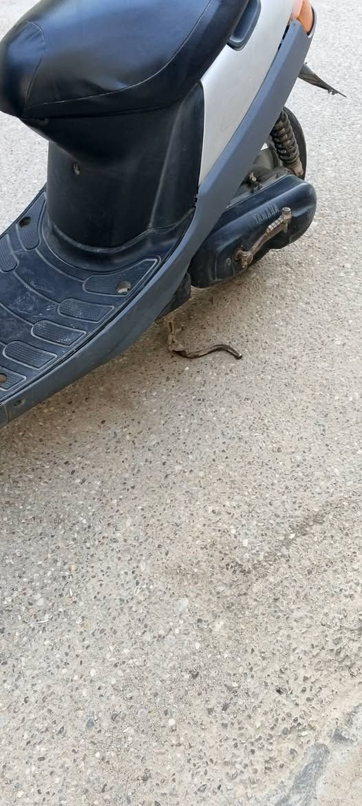 السلام عليكم دراجة بتره فحل خطين مفتوحه مكينة تخبل نهضه وسرعه سلف هندر كهربائيات  275 ناصريه المركز *********** مستعجل ع بيع
