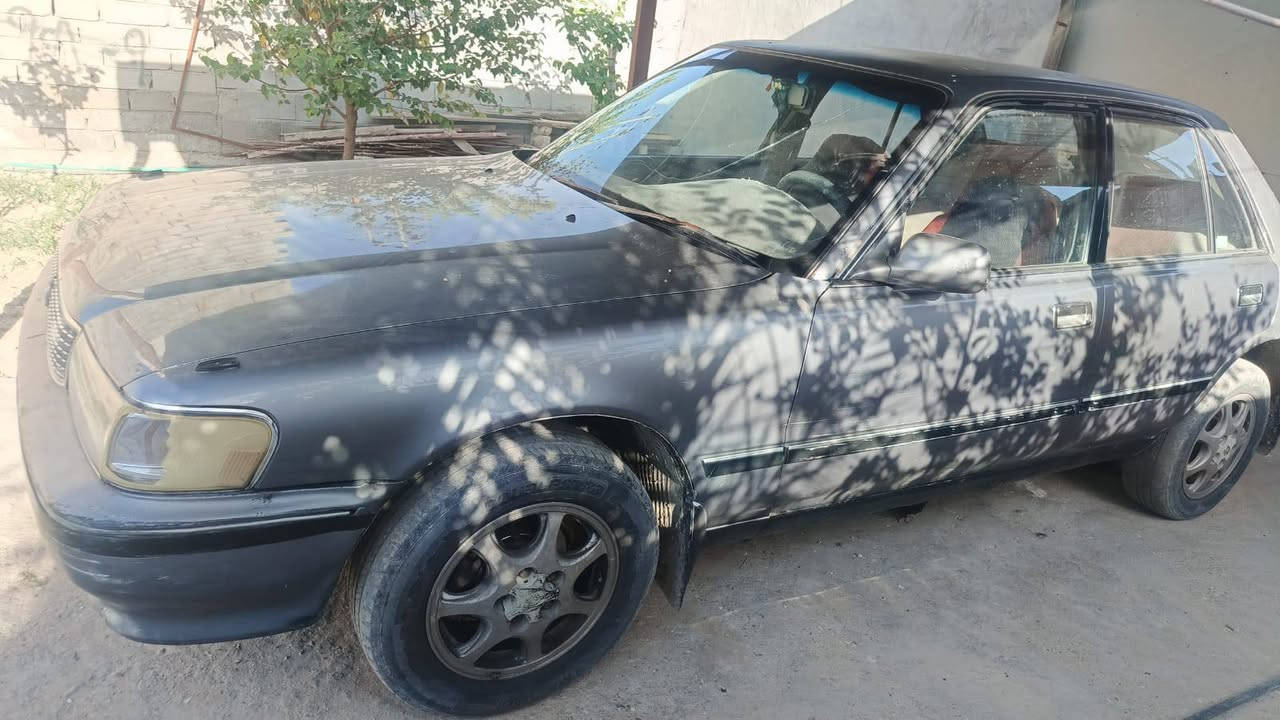 مارك كربلائي مكفوله كص ونقل محرك ونجي ناعم حلو  راعيه يمي ليمته ماتريد تحويل سعر 35
 ‏‪***********‬‏
