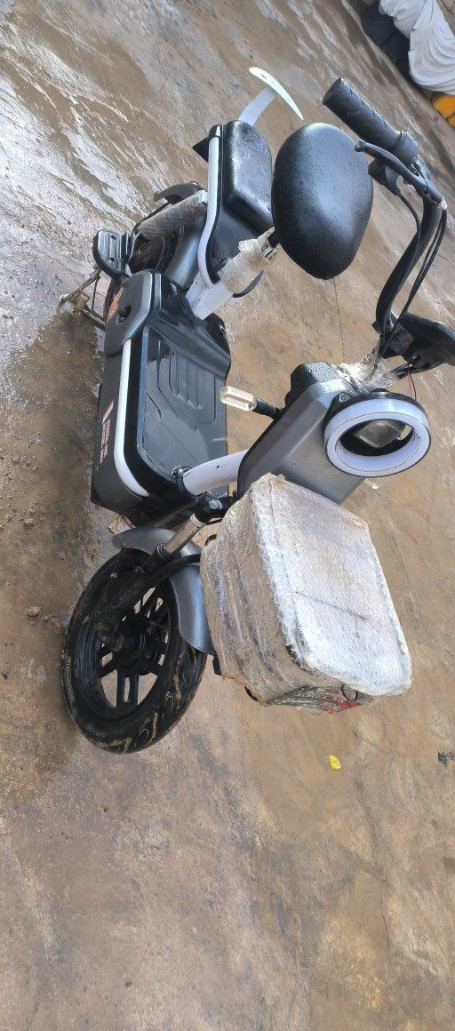 سلام عليكم موطور شحن للبيع السعر 200


**إذا كنت صاحب هذا الإعلان وتريد حذفه لأي سبب، رجاءا أرسل رسالة إلى الدعم الفني**