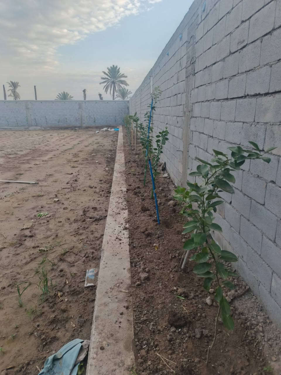 بيع دونم طابو 25 دار هيكل 400متر  #***********
