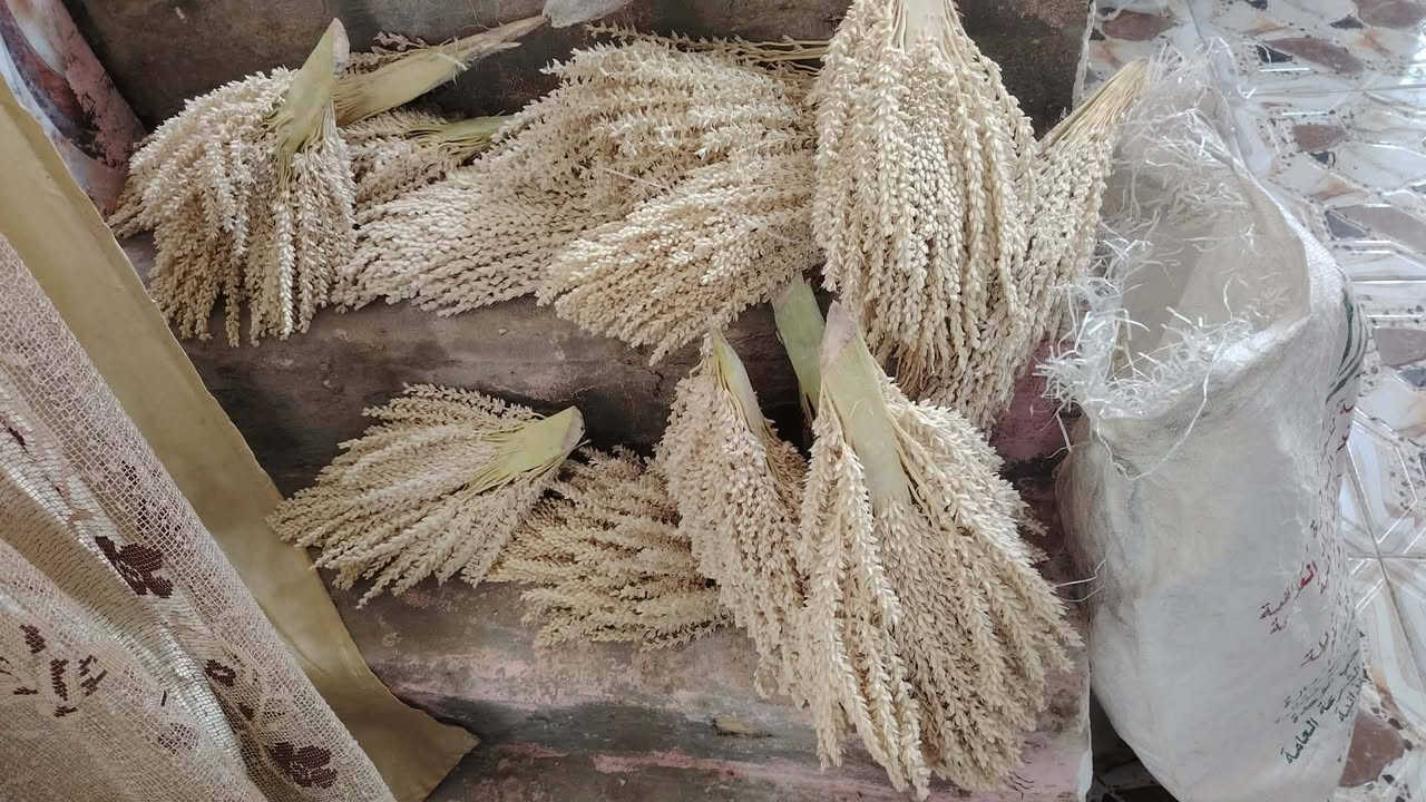 لكوح لبيع لعدد 20شرط مكانك لسماوه سوير


**إذا كنت صاحب هذا الإعلان وتريد حذفه لأي سبب، رجاءا أرسل رسالة إلى الدعم الفني**