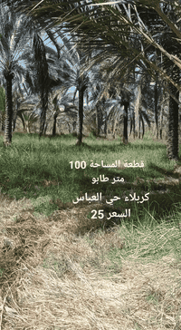 🔸بيع مستعجل 
كربلاء حي العباس عمود 15 وتنزل من شارع بغداد كيلو تبعد عن الامام خمس دقائق قطعة ارض طابو ركن مباشر علئ شارع فرعي كل الخدمات متوفرة #السعر 25 باقي التفاصيل
***********
