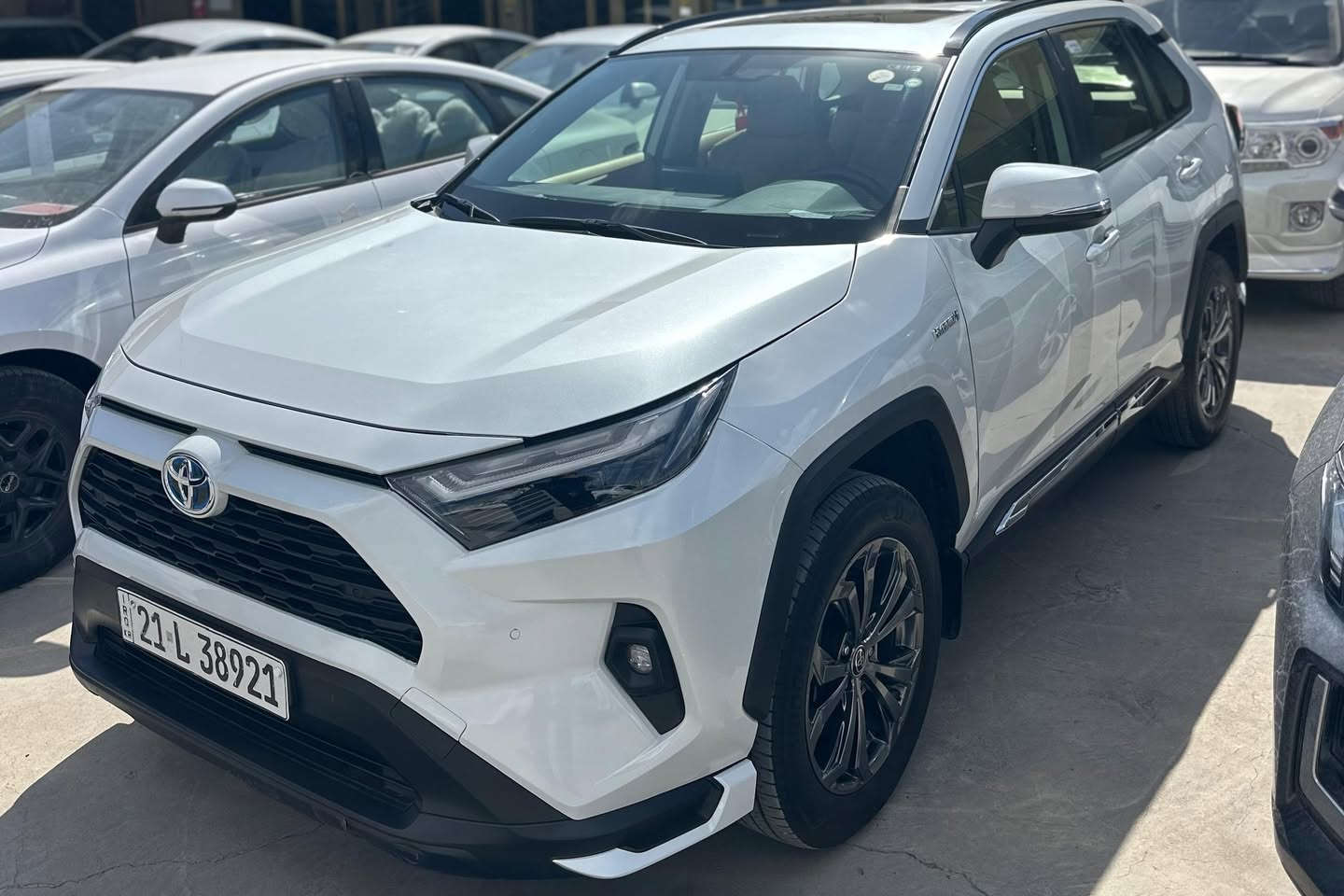 تۆیۆتا ڕاڤ فۆر 2023  مواسەفات فوول هایبرید 
و سلایت کاملە 
 ٤٠ هەزار ڕۆشتووە 
بێ بۆیاغە گێڕ و مەکینە 
بە شەرت نەکراوەتەوە 
زەمانی شەریکەیە
 سفری سازە

سعر لە کۆمێنت داوابکە ڕاستەخۆ بۆت دیت 📩 

زۆربەجوانی پاکی ماوە هیچ خەلەلیکی تیدا نییە 

ژمارەی خاوەنی 
***********
