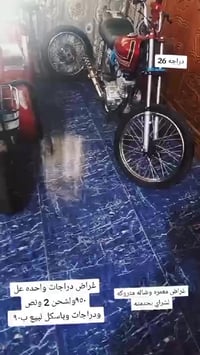 عزازنه دراجه موديل 26عل سحك ب٩٥٠وبيه مجال وراق صولي وهاذه رقم راعيه 07...