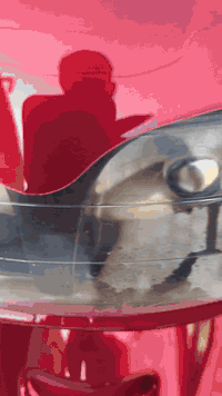 دراجة فراشة فحل للبيع
دراجة مكينة ماكس بيها كابريته قبق اسود
شلعة ومعدل مخيفة  شرط ومعدلها 140
دراجة مال حاوية جديدة مامفتوحة كلها بلادية علشركة كفر اصلي
دراجة قطرة دخان ما بيها لا ابيض ولا اسود ولا نضوح دهن
علفحص افحص وين ميعجبك 
سعرها 550 الف  قفل وماكو بسوك هيج سعر وهيج نظافة شرط
مكانها ديوانية
***********
