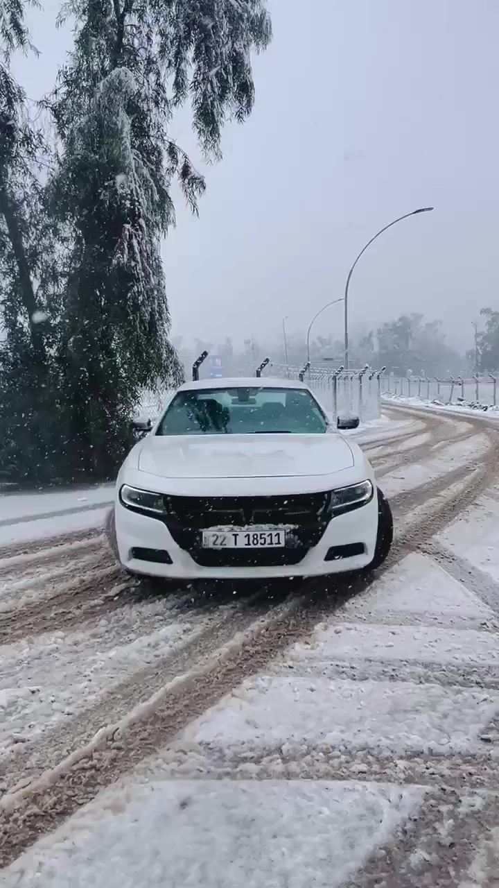 جارجر النداء الاخير 

Sxt  بلاك توب بلاك ادشن 
٢٠٢٣

 شاشة جبيرة 

حساسات 

نظام سستم صوت الباين 

اني مستوردها قبل شهر دخلت العراق  

حادث بسيط مكفوله من التبديل. والفتح.     
     تصليح درجة اولى 

لايت اصلي ودعامية اصليه وجميع الملحقات  اصليه  

صبغ شبر بلجاملغ بدون معجون كارت وشبر خشم البونيد. مبين بصور الحادث 
 رقم اربيل باسمي. ترقيم جديد والسيارة دخول جديد
***********

