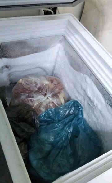 مووجەمیدە بۆفرۆشتن
ماڵی دۆستەچوارگەڵای پێ دراوە پێشتر ..کڕیاری وەرە چات یان ژ.م
***********
ڤایبەروواتساپ السليمانية
