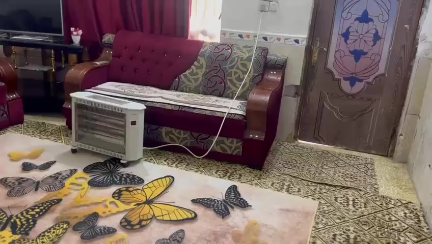 #رمضان 🌙كريم
كلمن وسعره فقط الشراي يتفضل خاص


**إذا كنت صاحب هذا الإعلان وتريد حذفه لأي سبب، رجاءا أرسل رسالة إلى الدعم الفني**