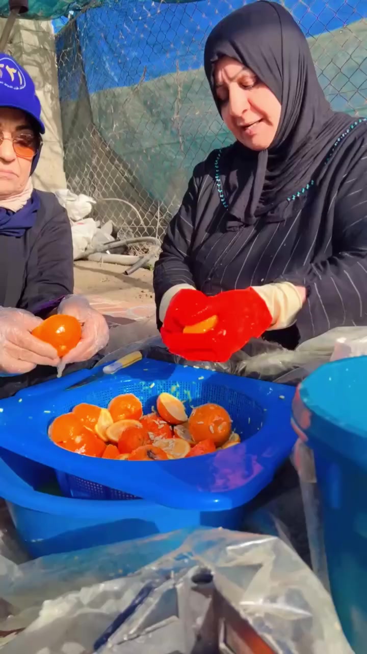 يستاهل كل العاملين في مزرعة الزعفرانية محبتنا ومودتنا
لهم كل الاحترام منا ومشكورة جهودهم الطيبة
اما دور منابعينا الكرام بتشجيعهم يكون من خلال ترك تعليق بسيط ولايك ومتابعة للصفحة😘
واذا امكن مشاركة منشوراتنا بالصفحات 

�✨ شكرًا من القلب لكل من تابع ودعم صفحتنا ✨💐
ممتنين جدًا لكل الإعجابات 👏💖 ولكل شخص يتابعنا ويشجعنا خطوة بخطوة 🌷
وجودكم هو سر استمرارنا ونجاحنا 🤍🍫🌹🌹🌹

🙏 ونطلب من كل من يشاهد منشوراتنا🌹🌹🌹
لا تنسوا المتابعة 📲💞🌹🌹🌹
ومتابعة الصفحة
حتى توصلكم كل جديدنا  😍✨☘️☘️☘️

📍 عنواننا:
زعفرانية – باب الزراعة🪾
مجاور محطة وقود الزعفرانية ⛽
ومقابل حسينية ذو الفقار 🕋 🌸

🕗 أوقات الدوام:
من الأحد إلى الخميس
من الساعة 8 صباحًا ⏰
إلى الساعة 1 ظهرًا ☀️
بالاضافة الى السبت من الساعة 1 ظهراً وحتى الساعة 5 مساءً

وحدة النفضية متوفر فيها شتلات مختلفة
عنب 🍇 حلواني كمالي ديس العمر عسكري شدة سودة شدك بيضة 
تين ☘️ بني مسلم اصفر وزيري واسود اسباني
رمان 🪾وندرفول سليمي كيبان 
تفاح بأصناف مختلفة كاغدي چنچر كولد أنا
عرموط شتوي
زيتون
حمضيات
شتلات زينة داخلية وخارجية

ننتظركم بكل حب 🤍🌹
وشغلاتنا دايمًا تفرح القلب قبل العين 🌱☘️🪾🍃🌹🎁✨


**إذا كنت صاحب هذا الإعلان وتريد حذفه لأي سبب، رجاءا أرسل رسالة إلى الدعم الفني**