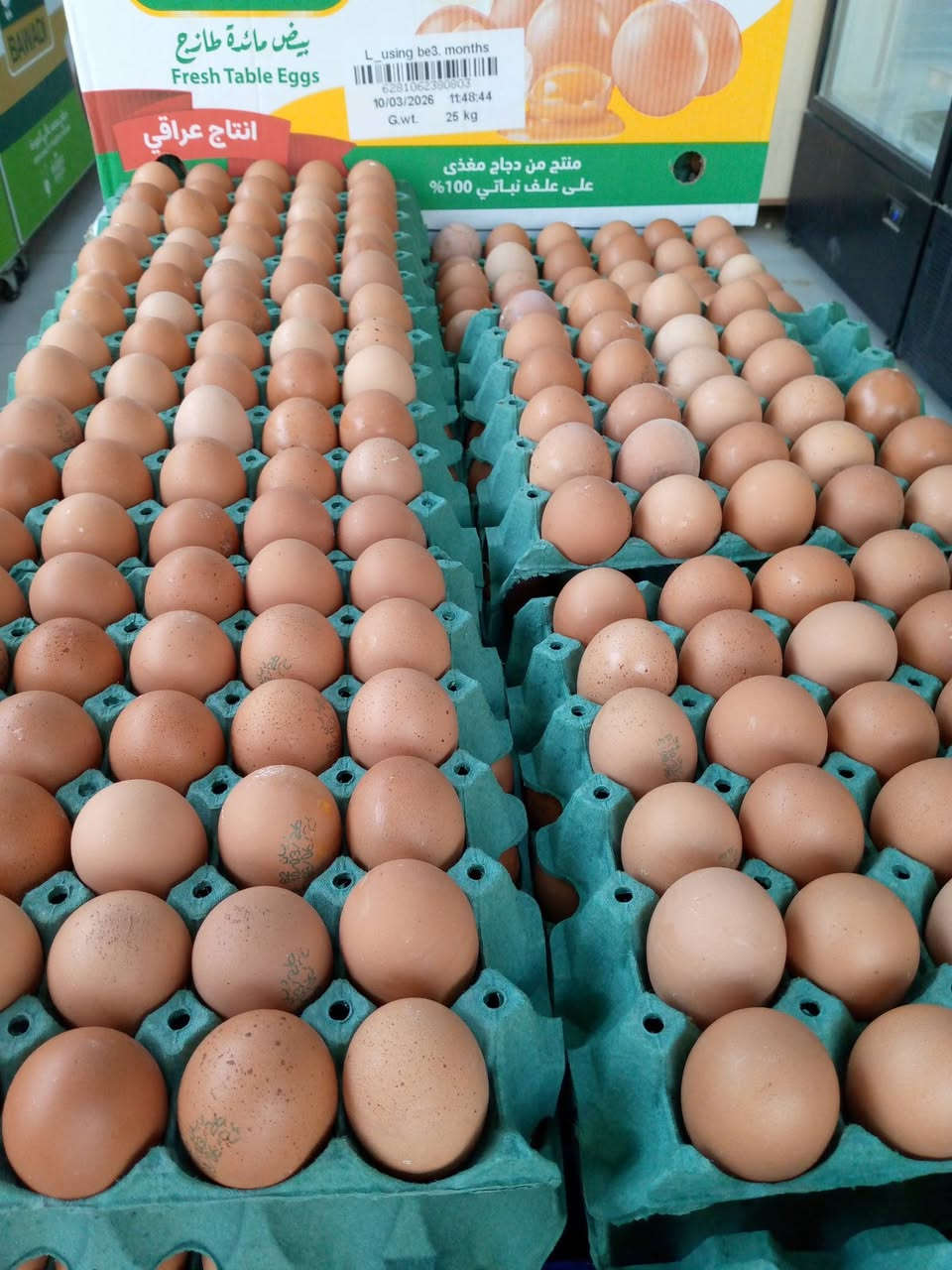 انتاج جديد بيض ريان 

سعر 5.000

العنوان المحطه بدايه شارع الذهب مقابيل بيت حجي


**إذا كنت صاحب هذا الإعلان وتريد حذفه لأي سبب، رجاءا أرسل رسالة إلى الدعم الفني**