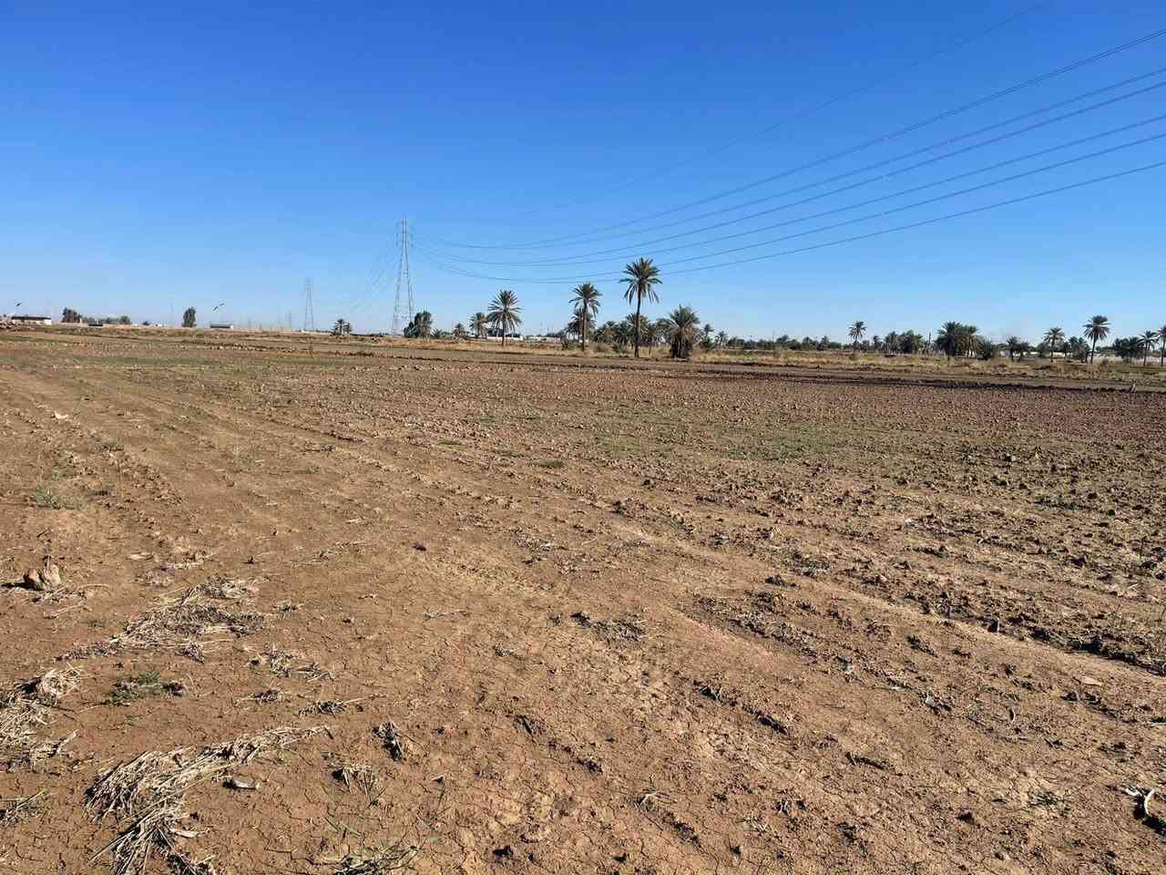 قطعة أرض للبيع
طابو زراعي سند ٢٥ تحويل مباشر
الموقع الرمادي ناحية اليرموك قرب مزرعة شيخ إحسان
المساحة ثنين دونم ونص
قريبه من جميع الخدمات 
شارع خمسة متر
الأرض صالحة للزراعة او اي مشروع استثماري
سعر الدونم ١٨ مليون
للإستفسار الاتصال على الأرقام التالية
*********** واتساب
*********** واتساب
او مراسلة الصفحة في اي وقت نعتذر عن التأخير عن الرد في بعض الأحيان
نستقبل جميع العروض العقارية في مدينة الرمادي
ابو احمد
