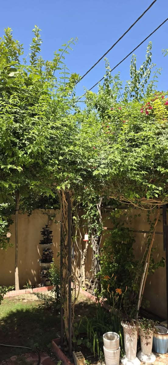 🏡 دار للبيع في مجمع الكوثر السكني

🔹 المساحة: 150 متر مربع
🔹 طابقين
🔹 الطابق العلوي: غرفة نوم
🔹 الطابق السفلي: غرفة نوم + استقبال + مطبخ

✅ البيت حر وغير مطلوب
✅ باسم شخص واحد
✅ موقع هادئ ونظيف جداً

📞 للاستفسار:
***********
