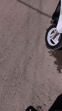 سلام عليكم دراجه قجمه دراجه تزويد بوشه ٥٥ شلعهه معدل فول مكان بغداد مدينه الصدر السعر ٢٧٥وبيه مجال ***********
