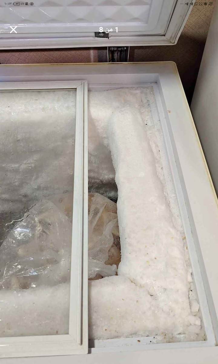 مجمده للبيع شغاله 100٪ ما بيه اي مشاكل بيع مستعجل التجميد واضح بالصور قوي كلش وشغال أربيل, العراق


**إذا كنت صاحب هذا الإعلان وتريد حذفه لأي سبب، رجاءا أرسل رسالة إلى الدعم الفني**