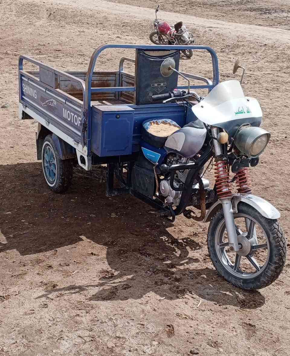 سلام عليكم ستوته اوراق اصولي صقر للبيع موديل2019مكان واسط قظاء الحي مكلف بلنشر رقم راعيها ‏‏‪***********‬‏
