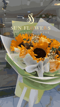 يمكنكم زيارتنا في موقعنا   ( زيونة -شارع دار الازياء مقابيل  معرض ڤيلا...