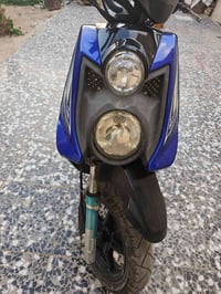 سكنكس جبلي • رمبه ياباني • كهربائيات شغاله