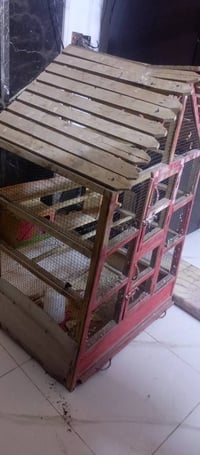 قفص للبيع يوجد معاا 4 بيوت نضيف السعر 25 يوجد رقم واتساب 07700872041