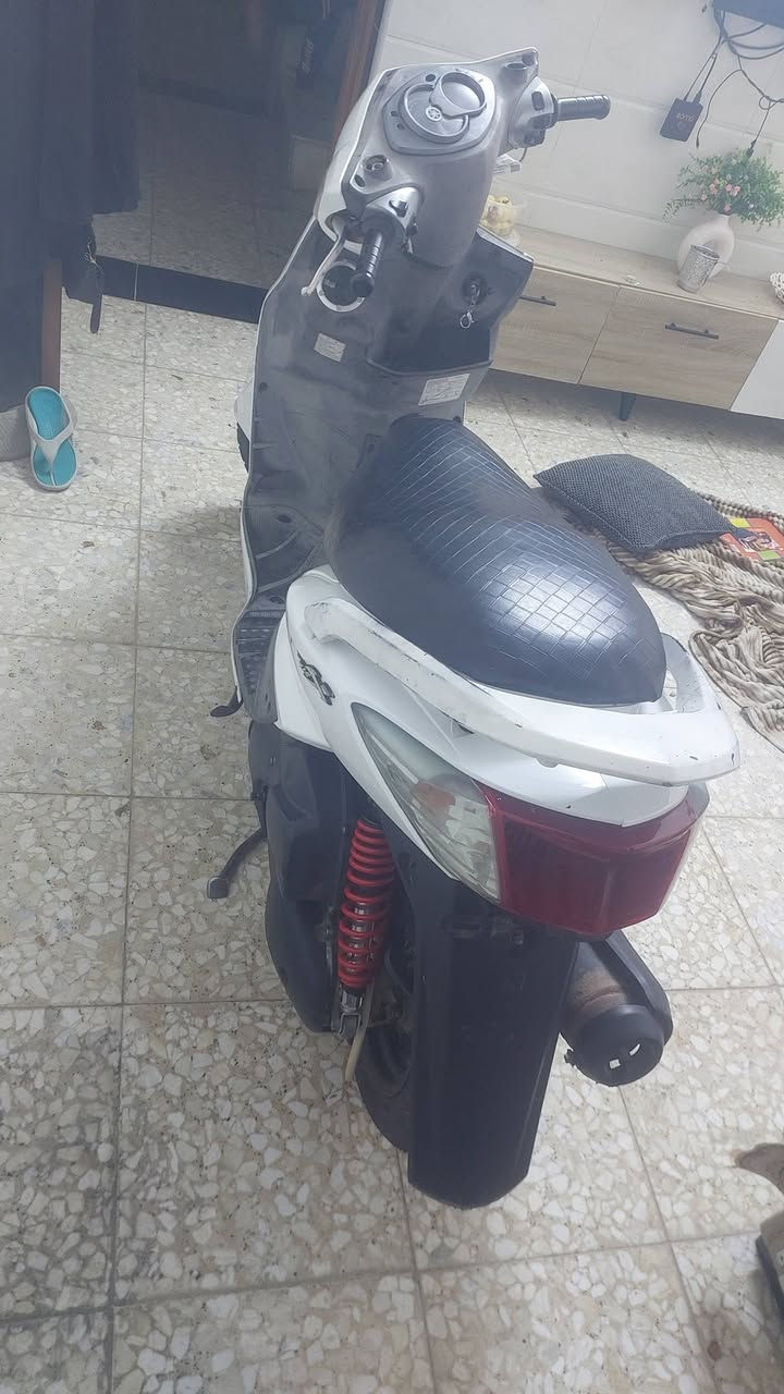 سكنس فحل بيع او مراوس الغزاليه 600.     ***********
