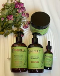 بايوتين • روزماري • يعالج تساقط