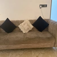 كنب • ما بي ضرر • يحتاج غسل