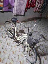 باسكل • حجم ٢٦ • الديوانية