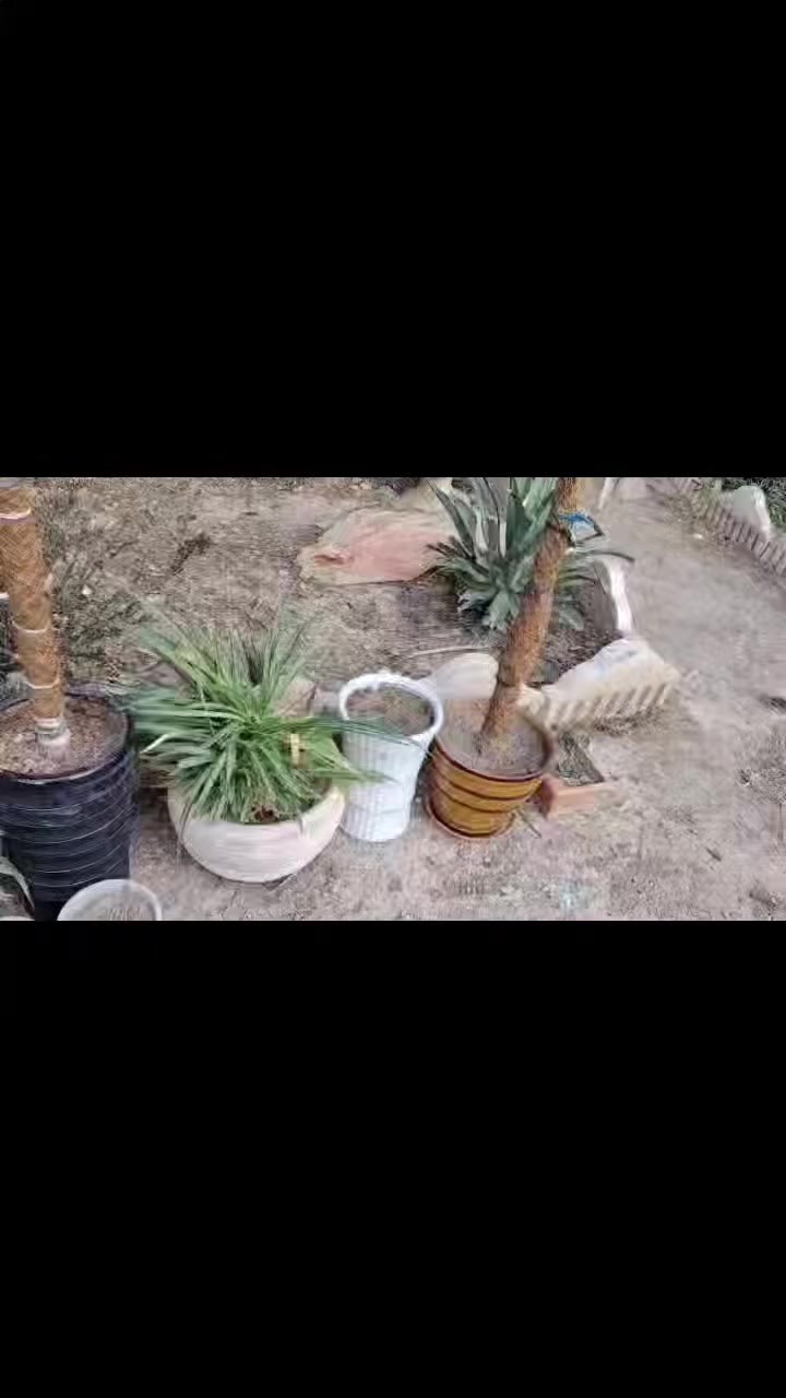 30سندنا اكو بي شتل اكو مابي شلع 60الف


**إذا كنت صاحب هذا الإعلان وتريد حذفه لأي سبب، رجاءا أرسل رسالة إلى الدعم الفني**