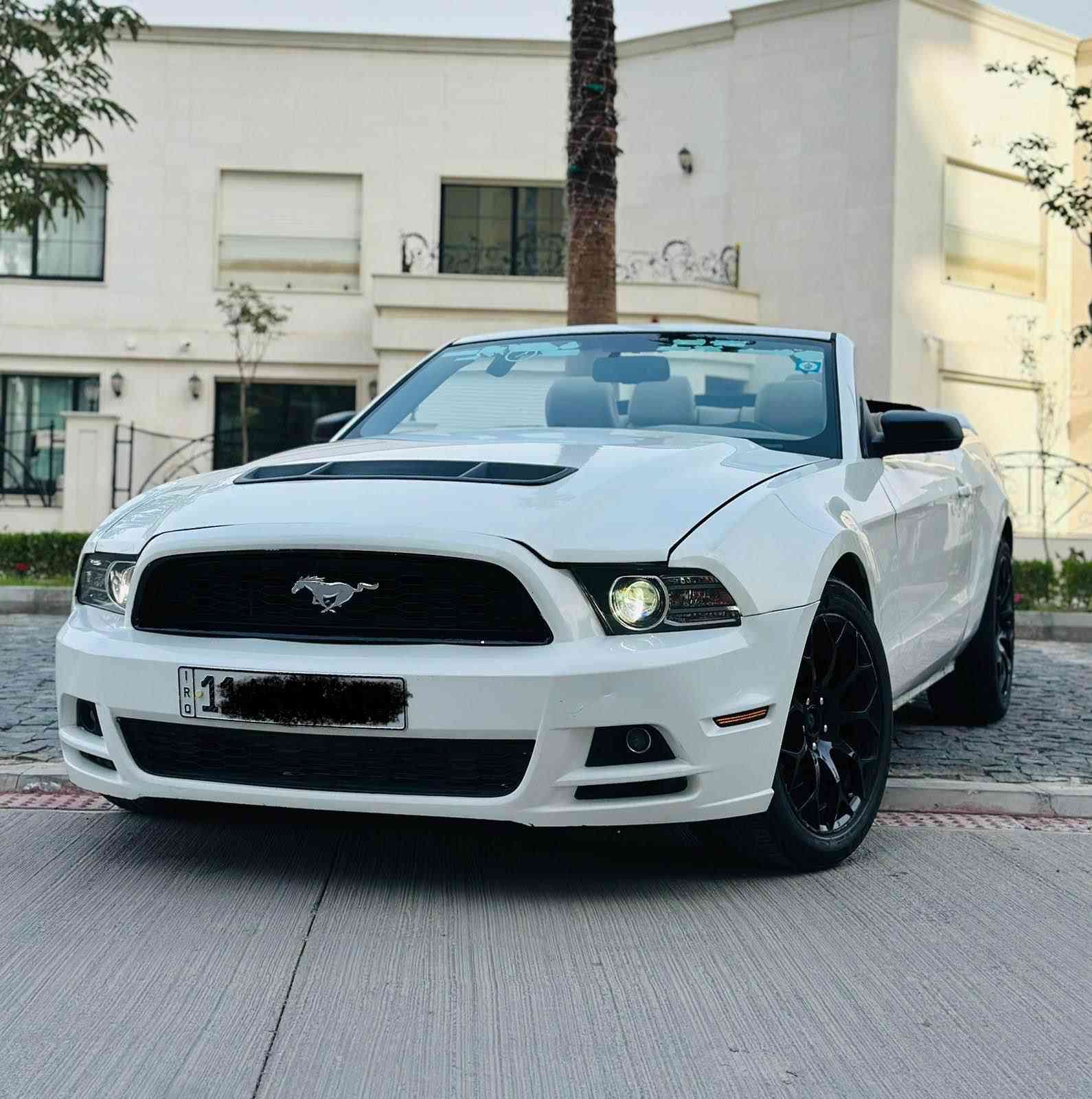 تفيد الشباب والبنات
موستنك 2013
بريميوم كير اوتو
ماشيه 73 فول مواصفات
داخل لون ابيض كشنات جلدكشن كهرباء دشبول 7 الوان دشبول المنيوم شاشه كامره  عليه بنيد GT
عليه سبويلر GTويل 20 تو سايز رقم بغداد تحويل مباشر هزه جديده 
اخوان سياره بيه قطعتين صبغ وقطعه بنيد تحديث GT
لغود شواصي مكفوله 
 وعندي سونار بيه هم 
مكان السياره المنصور 14 رمضان
السعر رقم 1 رد تلقائي
للاستفسار *********** بغداد, العراق
