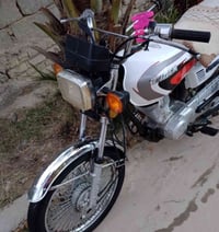 موديل 2020 • أوراق أصلية • الخيرات