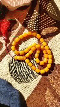 كهرب بولندي • حر • ٧١غ